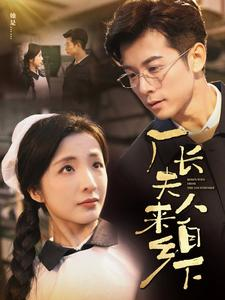 厂长夫人来自乡下（60集）好看的国产短剧