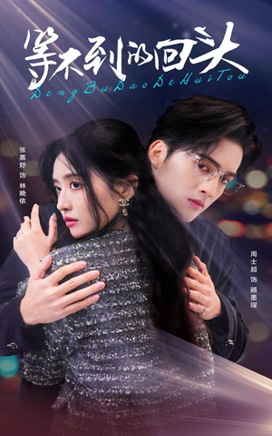 等不到的回头(35集) 等不到的回头(35集)视频在线看