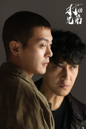 打拐兄弟(30集) 打拐兄弟(30集)大结局一气呵成