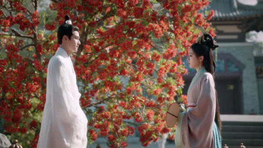 度华年(40集) 度华年(40集)一共多少集