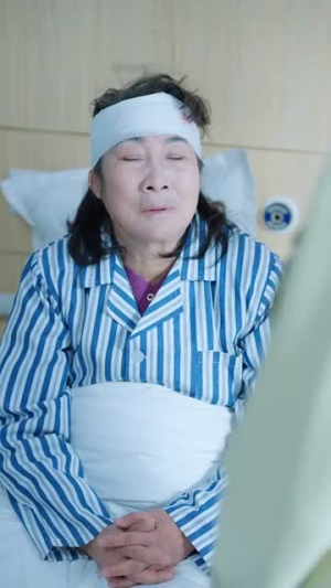 她与鸢尾同绽（31集）一口气追完短剧