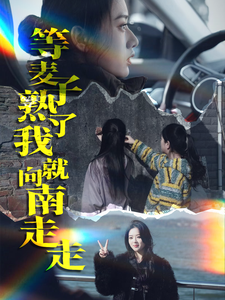 等麦子熟了我就向南走走（41集）热播短剧全集看