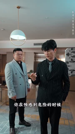 龙虎之喋血追凶（80集）最火爆的短剧