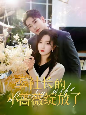 季社长的小蔷薇绽放了(60集) 季社长的小蔷薇绽放了(60集)好看上头短剧