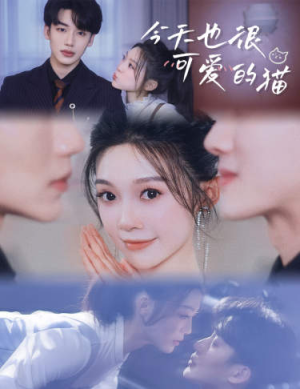 今天也很可爱的猫(72集) 今天也很可爱的猫(72集)原创精彩短剧