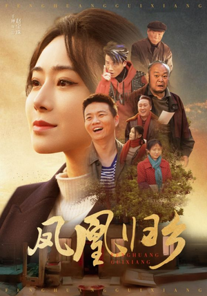 凤凰归乡(33集) 凤凰归乡(33集)百度在线观看