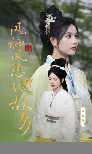 凤栖凤息回故乡(36集) 凤栖凤息回故乡(36集)这部短剧我爱了