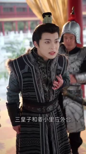 宫锁南枝(31集) 宫锁南枝(31集)爱上了这部剧了