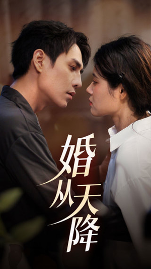 婚从天降(92集) 婚从天降(92集)全集都在这里了