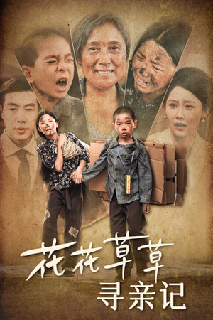 花花草草寻亲记(42集) 花花草草寻亲记(42集)好看短剧又来了
