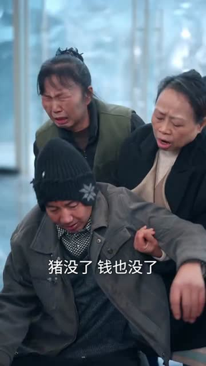 卖不掉的年猪(35集) 卖不掉的年猪(35集)最后一集