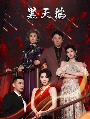 黑天鹅（51集）在线观看全集