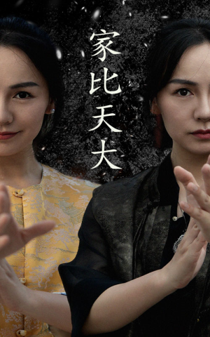 家比天大(63集) 家比天大(63集)直接看到大结局