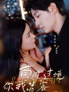 南风国境你我皆客(80集) 南风国境你我皆客(80集)爆款热门短剧