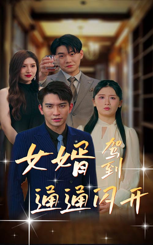 女婿驾到,通通闪开(34集) 女婿驾到,通通闪开(34集)口碑之选免费看