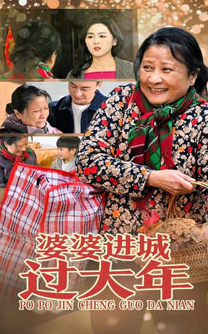 婆婆进城过大年(33集) 婆婆进城过大年(33集)全集完整版