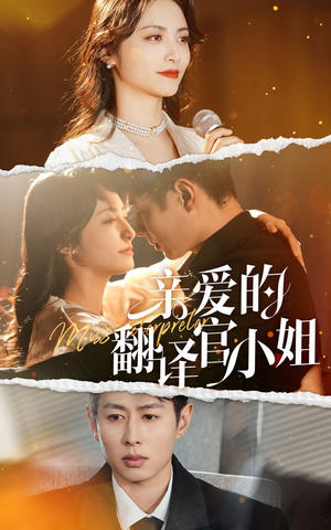 亲爱的翻译官小姐(51集) 亲爱的翻译官小姐(51集)观看软件