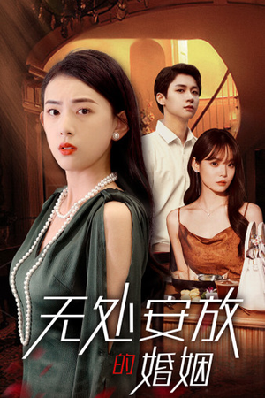 无处安放的婚姻（41集）百度网盘资源