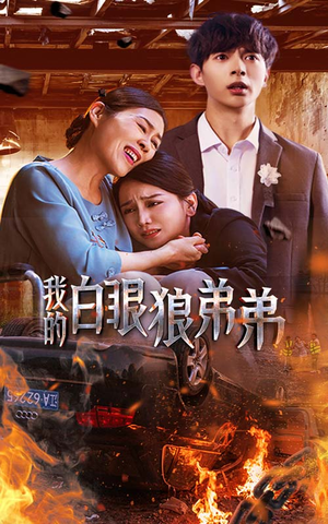 我的白眼狼弟弟(69集) 我的白眼狼弟弟(69集)一起看短剧