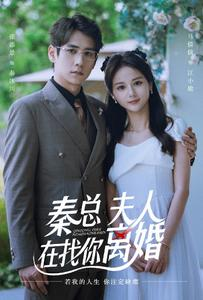 秦总，夫人在找你离婚（79集）让你一口气看完