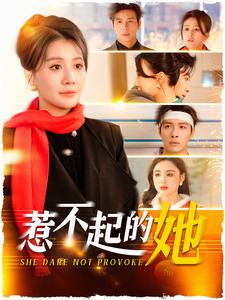 惹不起的她（106集）流畅播放免费看