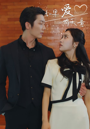 如果爱有天意(80集) 如果爱有天意(80集)每日短剧追不停