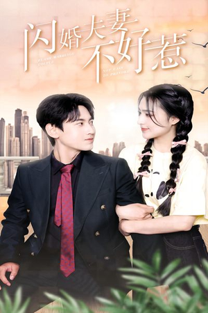 闪婚夫妻不好惹(90集) 闪婚夫妻不好惹(90集)口碑爆棚免费看