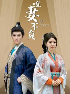 唯妻不负(80集) 唯妻不负(80集)免费短剧看全集