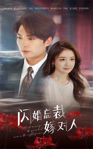 闪婚总裁嫁对人(30集) 闪婚总裁嫁对人(30集)全集
