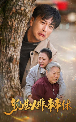 物是人非事事休(41集) 物是人非事事休(41集)短剧全集大结局