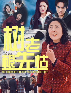 树老根先枯(33集) 树老根先枯(33集)短剧解说热门