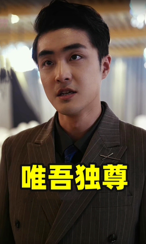 唯吾独尊（96集）红果短剧看全集