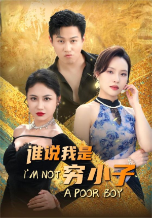 谁说我是穷小子(71集) 谁说我是穷小子(71集)百度网盘资源