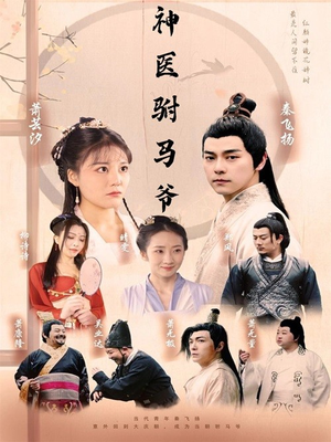 神医驸马爷(80集) 神医驸马爷(80集)解说