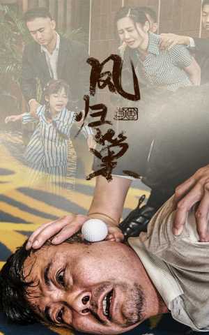 新版:凤归巢(68集) 新版:凤归巢(68集)精彩的短剧