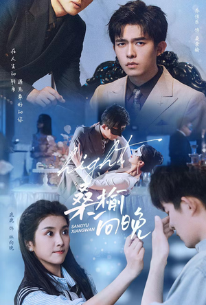 桑榆向晚(65集) 桑榆向晚(65集)分享热门短剧