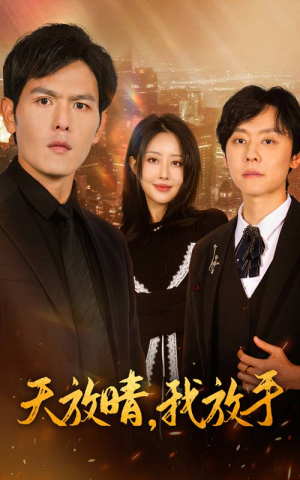 天放晴，我放手（35集）红果短剧免费看