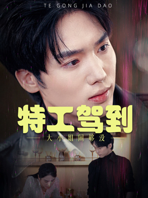 特工驾到大小姐闹够没（40集）360网盘观看