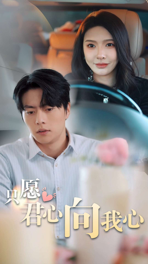 只愿君心向我心（31集）怎么看全集