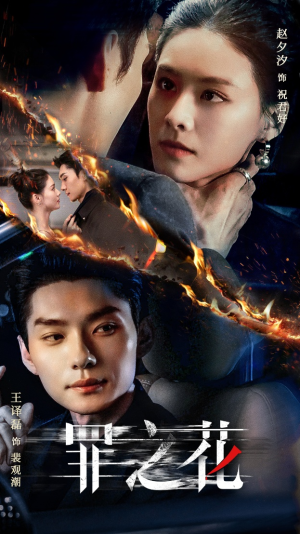 罪之花(56集) 罪之花(56集)在线观看全集