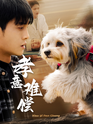 孝意难偿(32集) 孝意难偿(32集)解说文案