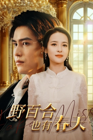 野百合也有春天(85集) 野百合也有春天(85集)短剧在线看