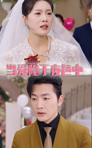 当爱隐于夜色中(37集) 当爱隐于夜色中(37集)第一集