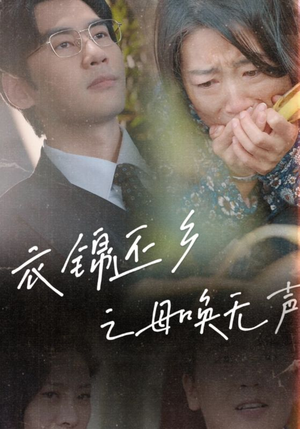 衣锦还乡之母唤无声(60集) 衣锦还乡之母唤无声(60集)全季一次看完