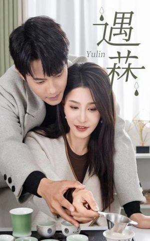 遇菻&遇霖(50集) 遇菻&遇霖(50集)全集在线看