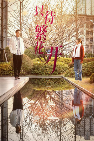 只待繁花开（35集）热播短剧抢先看