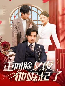 重回除夕夜他崛起了（89集）全集免费看短剧