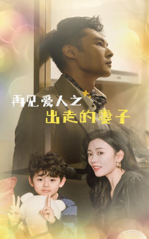 再见爱人之出走的妻子（85集）免费在线看全集