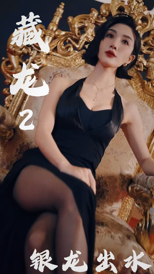 藏龙2银龙出水(35集) 藏龙2银龙出水(35集)火爆热门短剧