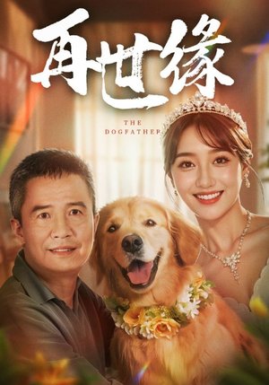 再世缘（41集）推荐你们也去看